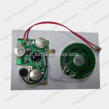 Modulo registrabile sensore di luce, registrazione di chip audio